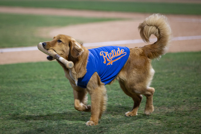 IW7A0850 2 2 IW7A0850 2 2