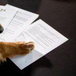 Omaha Paw Signature Omaha the Bat Dog Lake Elsinore Storm Contract Paw