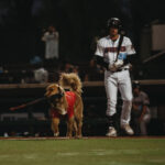 Omaha Scaled Omaha ther Bat Dog at IE 66ers game