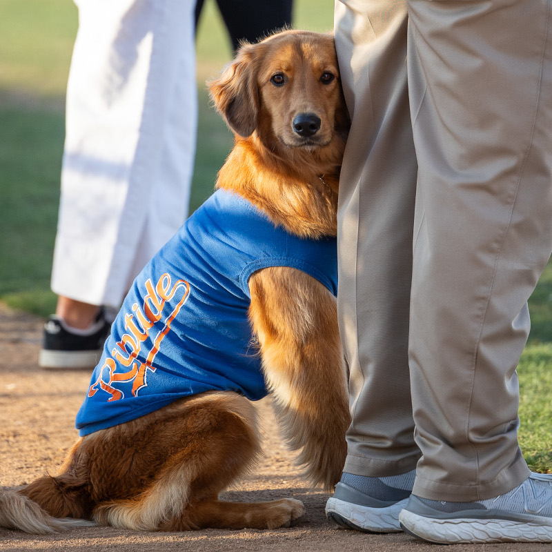 Omaha_National_Anthem Omaha the Bat Dog during the National Anthem